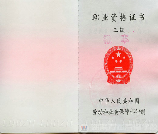 湖南萬(wàn)通汽車學(xué)校，職業(yè)資格證書三級(jí)