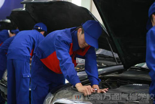 時(shí)下什么人才最吃香？