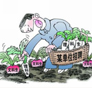 填志愿指南：文科生報什么專業(yè)才能“畢業(yè)不失業(yè)”？