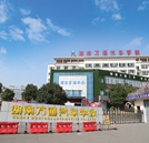 學汽修哪里比較好？