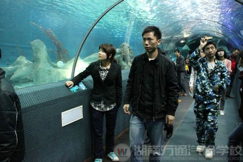 湖南萬通學(xué)子參觀海底世界