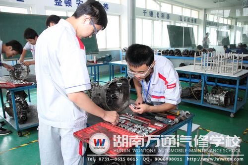 湖南萬通為學(xué)子提供多種實(shí)踐機(jī)會，讓他們在畢業(yè)后適應(yīng)企業(yè)需求