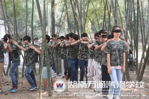 “仙人指路”，講究的是一種默契！