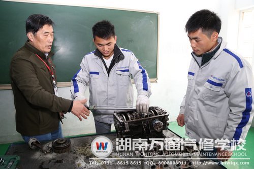 蔣胡華與堂哥蔣林軍一起實(shí)踐