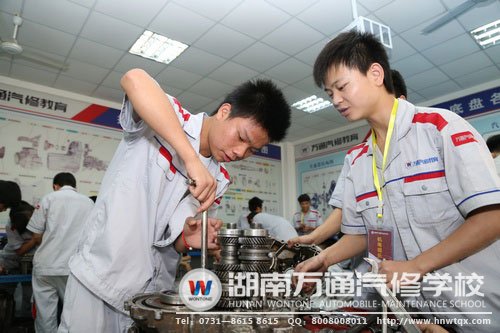 學生分組實訓，團結合作互相學習